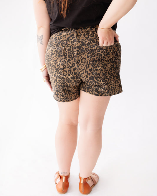 Judy Blue HW RM Leopard Shorts