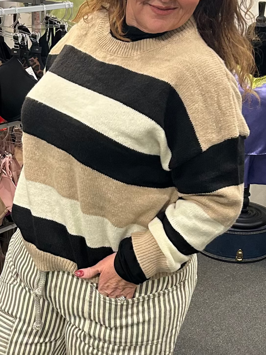 Polo Club Striped Sweater